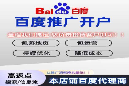 SEM精准广告投放的五大成功案例